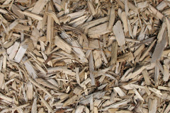 biomass boilers Conderton
